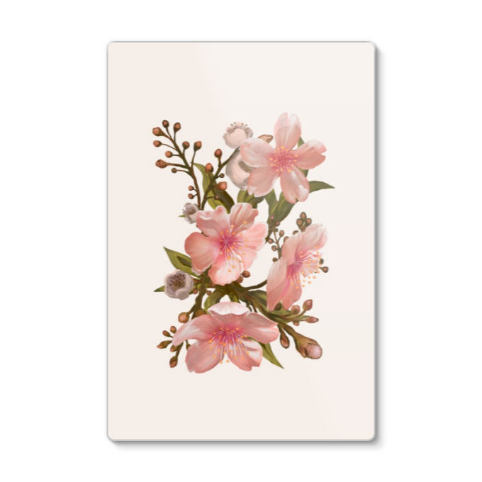 Cherry Blossoms