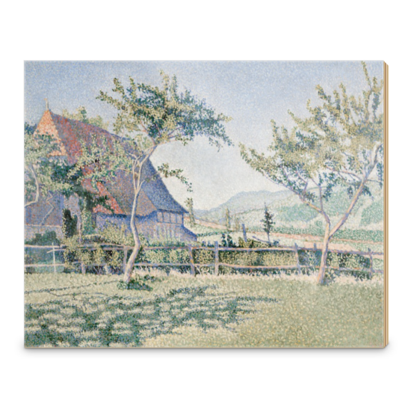 show case main image